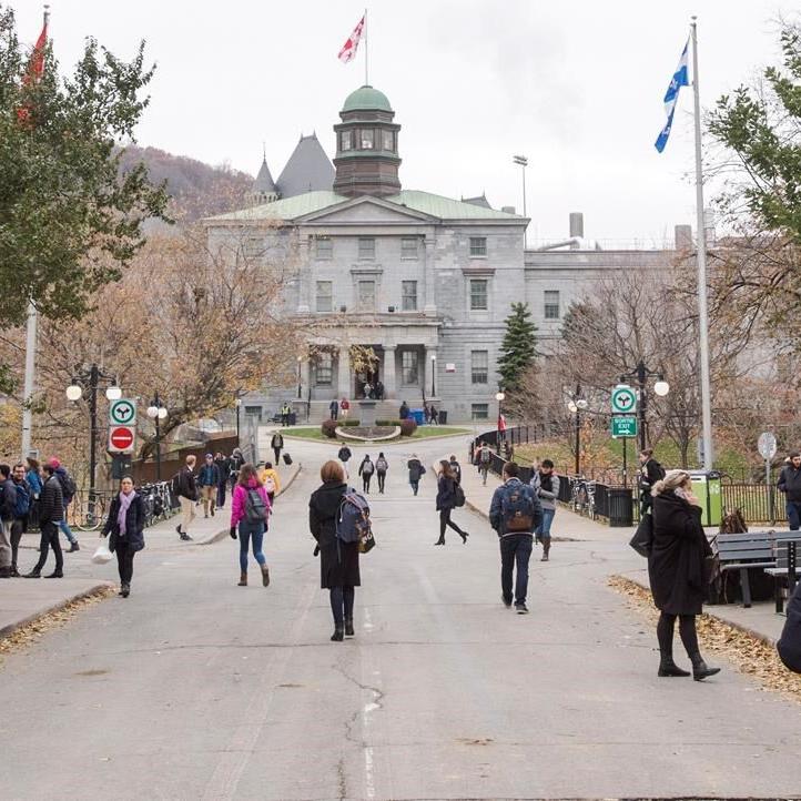Quebec judge grants interim injunction stopping McGill project over Mohawk concerns